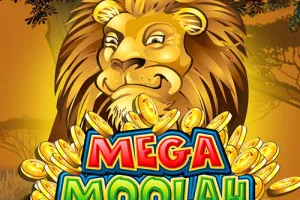 Mega Moolah slot — Novibet Casino