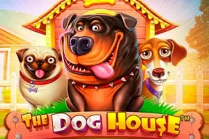 The Dog House — Novibet Casino